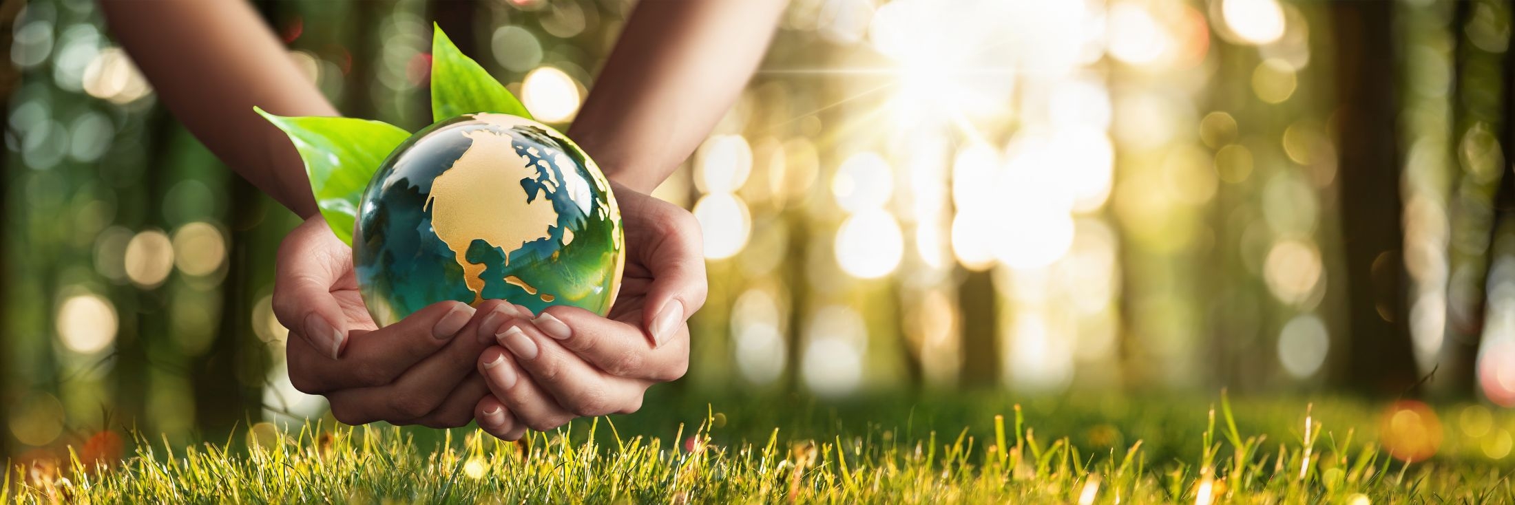 Header image background